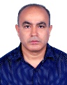Prof. Dr. Mohammad Ismail Hossain